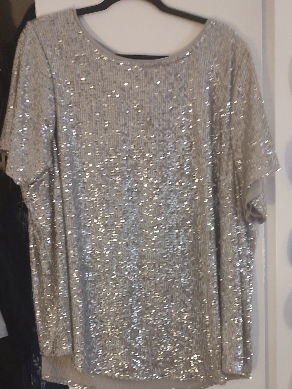 FIRST OFFER! Silver Sequin Short Sleeve Torrid Top